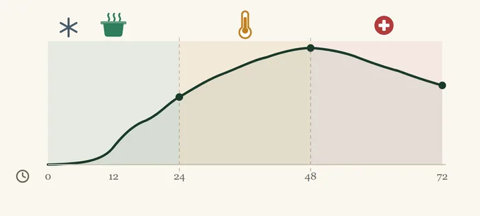 Timeline chart: symptoms climb after exposure, the first 24 hours are the intervention window, the peak comes around 48 hours, and no improvement by 72 hours means seeing a doctor